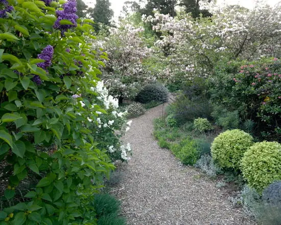 affordable stone walkways