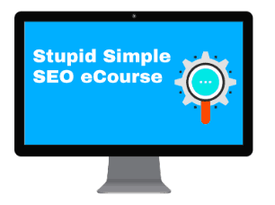 Stupid Simple SEO course