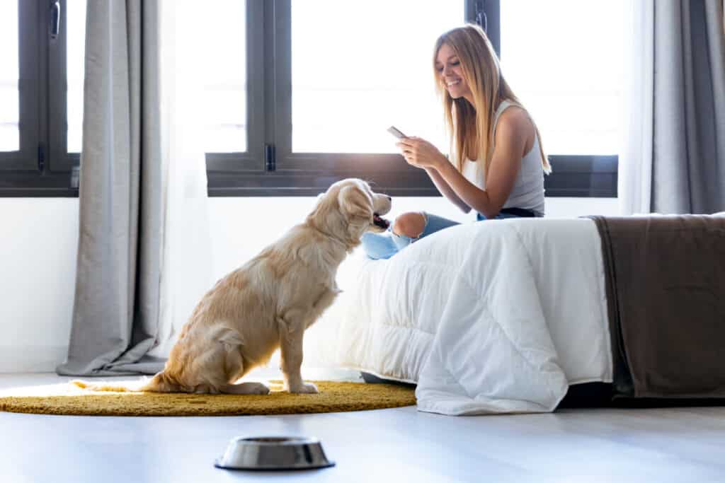 Use your smartphone to setup an account to have a dog stay at your home for a night or two. It's an easy way to earn a side income for very little effort.