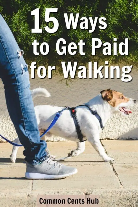 15 Legit Ways to Get Paid to Walk in 2022 | Common Cents Hub