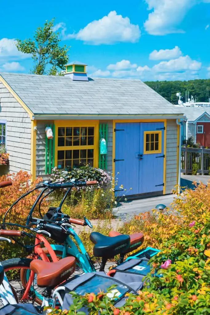 With a bit of paint and some simple DIY shutters, this boring shed comes alive to brighten your backyard.