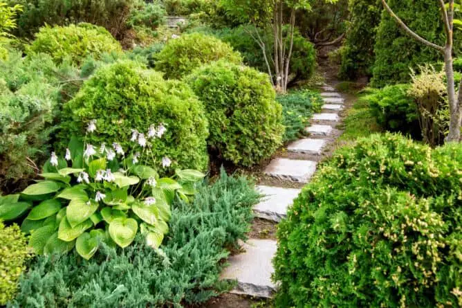 Upgrading your home can be so expensive, it may take a decade or longer. But you can save thousands of dollars, especially on backyard projects, if you're willing to do the labor.